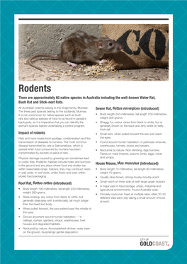 Rodents Fact Sheet