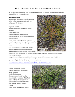 Marine Information Centre Garden ‐ Coastal Plants of Taranaki