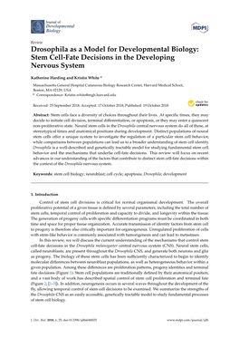 Drosophila As a Model for Developmental Biology: Stem Cell-Fate Decisions in the Developing Nervous System
