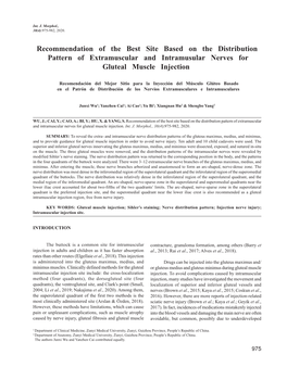 Recommendation of the Best Site Based on the Distribution Pattern of Extramuscular and Intramusular Nerves for Gluteal Muscle Injection