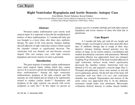 Case Report Right Ventricular Hypoplasia and Aortic Stenosis