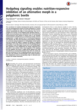 Hedgehog Signaling Enables Nutrition-Responsive Inhibition of an Alternative Morph in a Polyphenic Beetle