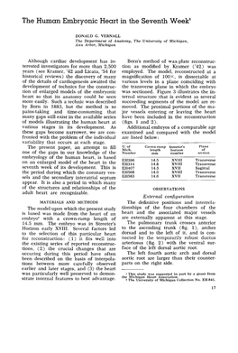 The Human Embryonic Heart in the Seventh Week'