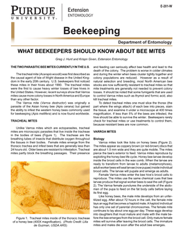 Beekeeping Department of Entomology WHAT BEEKEEPERS SHOULD KNOW ABOUT BEE MITES