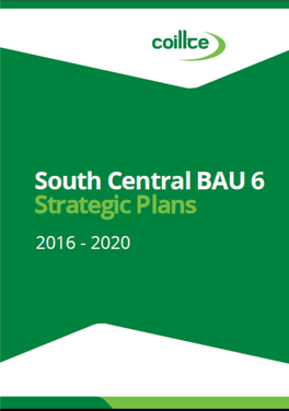 Forestplans BAU 6 Strategic P