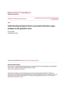 Understanding Biological Factors Associated with Pelvic Organ Prolapse in Late Gestation Sows