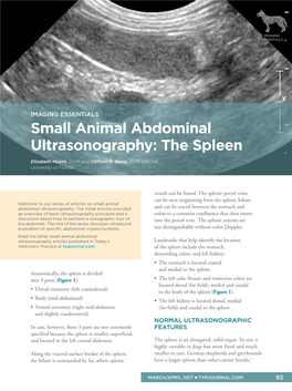 Small Animal Abdominal Ultrasonography: the Spleen