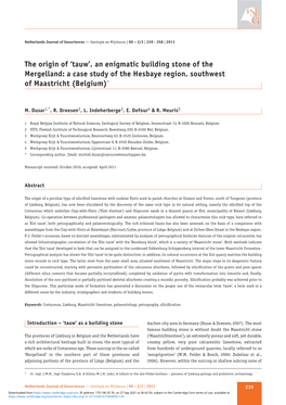 'Tauw', an Enigmatic Building Stone of the Mergelland: a Case Study of the Hesbaye Region, Southwest of Maastricht