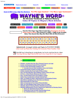 Index of Topics in Wayne's Word Articles