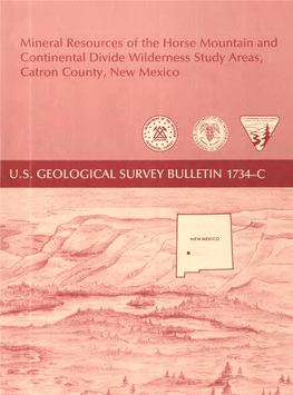 Mineral Resources of the Horse Mountain and Continental Divide Wilderness Study Areas, Catron County, New Mexico