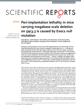 Peri-Implantation Lethality in Mice Carrying Megabase-Scale Deletion