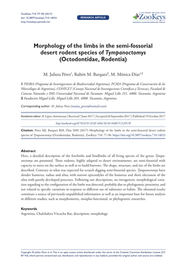 Morphology of the Limbs in the Semi-Fossorial Desert Rodent Species of Tympanoctomys (Octodontidae, Rodentia)