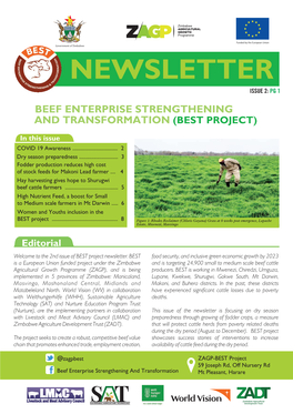 BEST Newsletter Issue 2