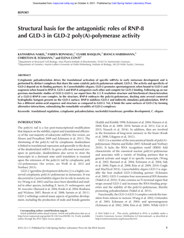 Polymerase Activity