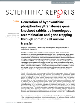Generation of Hypoxanthine Phosphoribosyltransferase