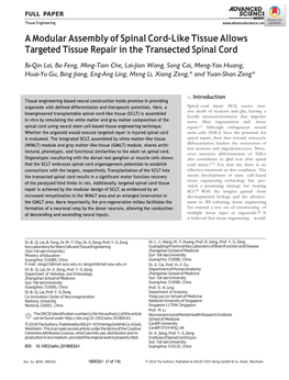 Amodularassemblyofspinalcord–Liketissueallows Targeted Tissue