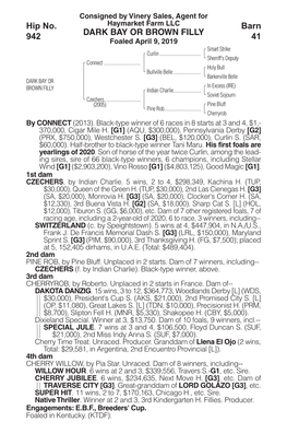 DARK BAY OR BROWN FILLY Barn 41 Hip No