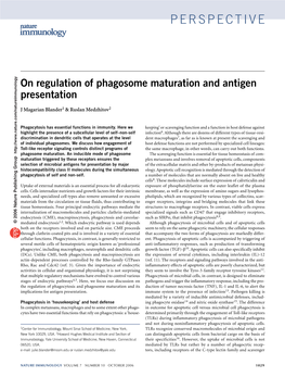 On Regulation of Phagosome Maturation and Antigen Presentation