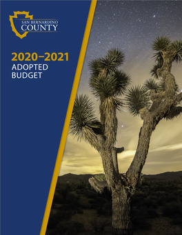 2020-21 Adopted Budget Contents