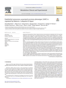 Endothelial Senescence-Associated Secretory Phenotype (SASP) Is Regulated by Makorin-1 Ubiquitin E3 Ligase