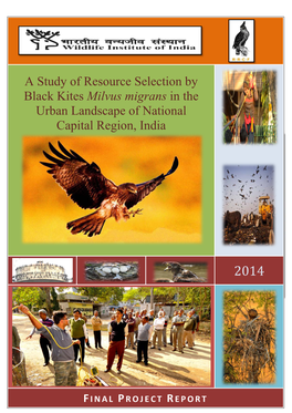 A Study of Resource Selection by Black Kites Milvus Migrans in the Urban Landscape of National Capital Region, India
