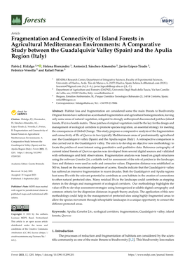 Fragmentation and Connectivity of Island Forests In