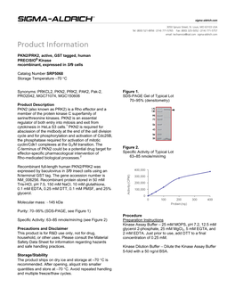 PKN2/PRK2, Active, GST Tagged, Human PRECISIOÒ Kinase Recombinant, Expressed in Sf9 Cells