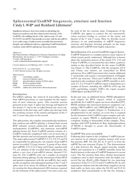 Spliceosomal Usnrnp Biogenesis, Structure and Function Cindy L Will* and Reinhard Lührmann†