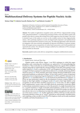Multifunctional Delivery Systems for Peptide Nucleic Acids