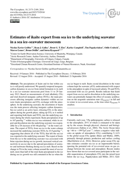 Estimates of Ikaite Export from Sea Ice to the Underlying Seawater in a Sea Ice–Seawater Mesocosm