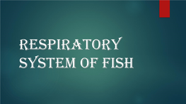 Respiratory Mechanism in Fishes ❑ at the Beginning Operculam Is Closed and Mouth Is Opened by the Action of Elevator Muscle