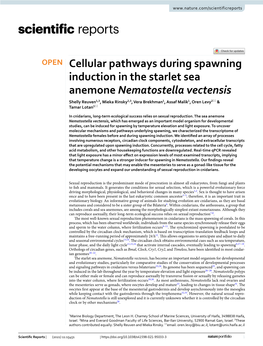 Cellular Pathways During Spawning Induction in the Starlet Sea