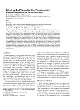 Epicuticular Leaf Waxes of the Hop (Humulus Lupulus)