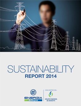 REPORT 2014 We Thank the Teams That Supported the Elaboration of This Sustainability Report
