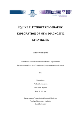 Equine Electrocardiography: Exploration of New Diagnostic Strategies