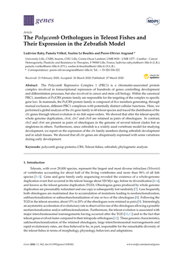The Polycomb Orthologues in Teleost Fishes and Their Expression in the Zebraﬁsh Model