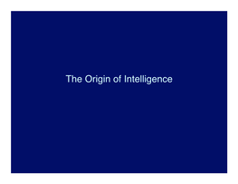 Color Vision More Complicated Information Processing, Tool Use Becomes Possible Origin of Anthropoids