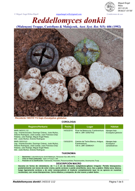 Reddellomyces Donkii (Malençon) Trappe, Castellano & Malajczuk, Aust