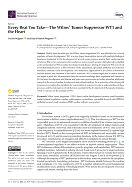 Every Beat You Take—The Wilms' Tumor Suppressor WT1 and the Heart