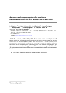 Gamma-Ray Imaging System for Real-Time Measurements in Nuclear Waste Characterisation