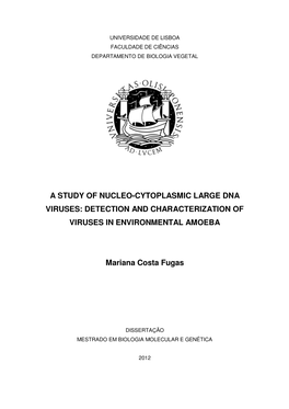 A Study of Nucleo-Cytoplasmic Large Dna Viruses: Detection and Characterization of Viruses in Environmental Amoeba