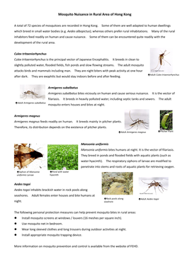 Mosquito Nuisance in Rural Area of Hong Kong