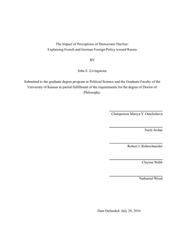 0728 Final the Impact of Perceptions of Democratic Decline-Explaining