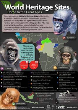 Home to the Great Apes Great Apes Occur in 16 World Heritage Sites in 11 Countries Across Africa and Southeast Asia