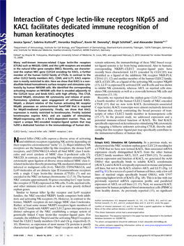 Interaction of C-Type Lectin-Like Receptors Nkp65 and KACL Facilitates Dedicated Immune Recognition of Human Keratinocytes