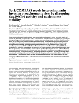 Set1/COMPASS Repels Heterochromatin Invasion at Euchromatic Sites by Disrupting Suv39/Clr4 Activity and Nucleosome Stability