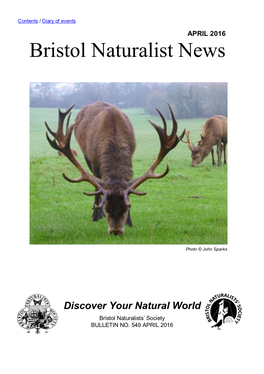 Bristol Naturalist News