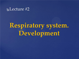 Respiratory System