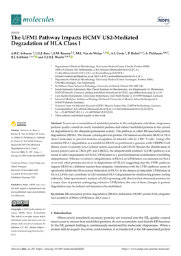 The UFM1 Pathway Impacts HCMV US2-Mediated Degradation of HLA Class I