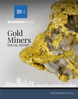 Wa's Largest Gold Miners